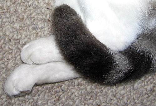 Ã¿Ã¿Ã¿Ã¿Â¸Ã¶?