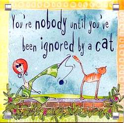ignoredcat.JPG