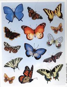 vlinderstickers.JPG