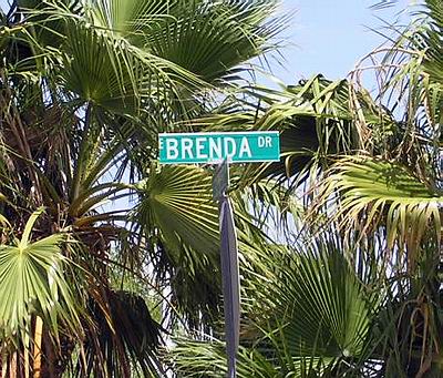 brenda-drive.JPG