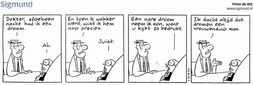 sig-droom.JPG