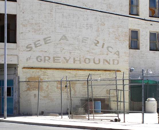 greyhound.JPG