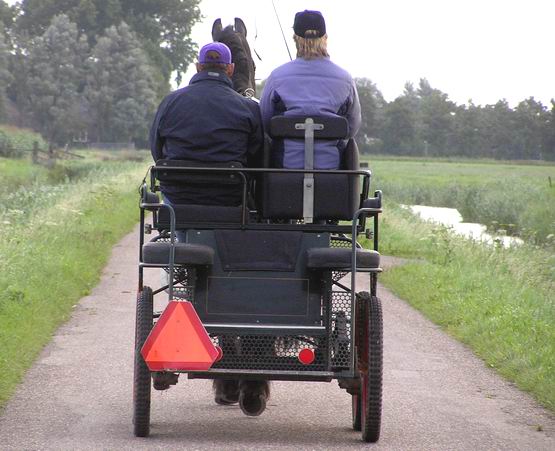 paard-wagen.JPG