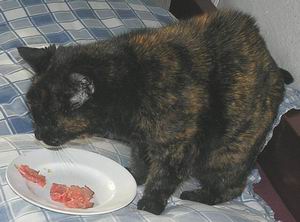 eeb-rosbief eeb-rosbief