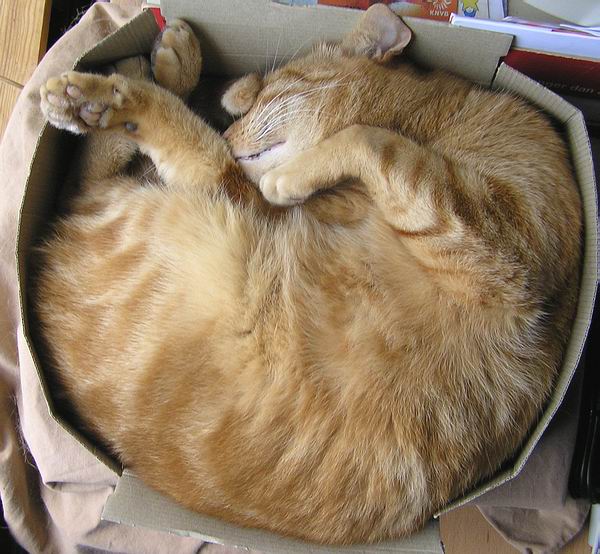 samscanner samscanner