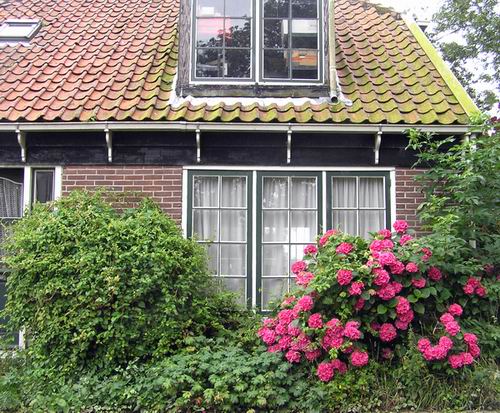 huis huis