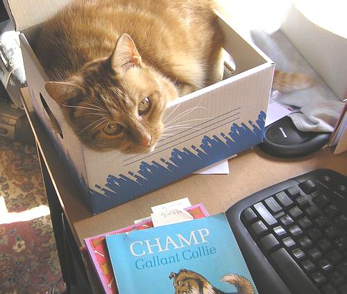 in-boekendoosje in-boekendoosje