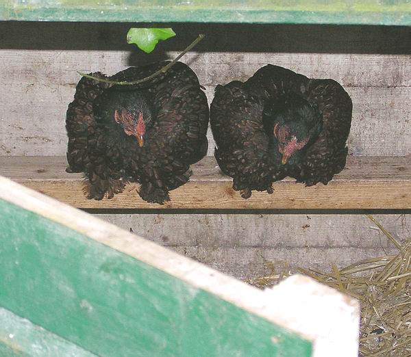 op-stok-20-7 op-stok-20-7