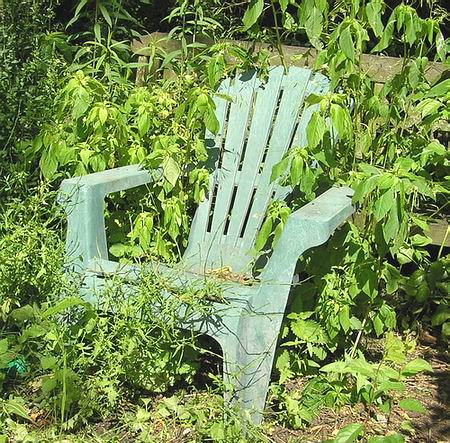 stoel-met-onkruid stoel-met-onkruid