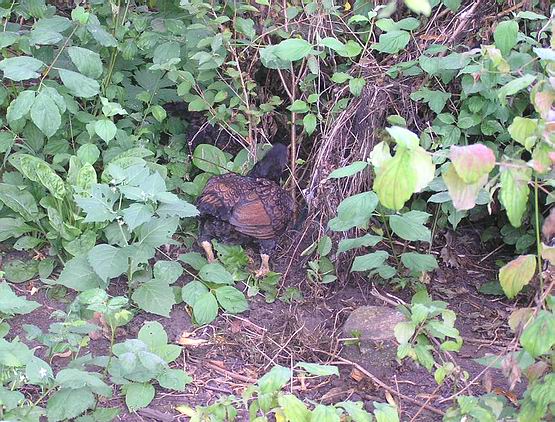 achter14-8 achter14-8