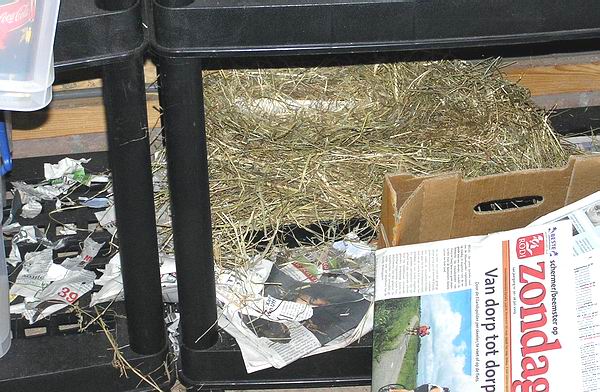 plek-onder-kast plek-onder-kast