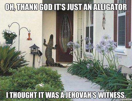 alligator