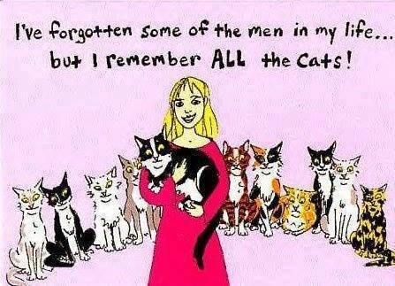 14642479_1359679107399015_3082354507049925239_n